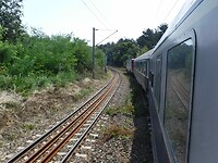 1000033805