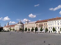 1000034036