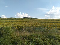1000034049