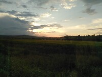 1000034104