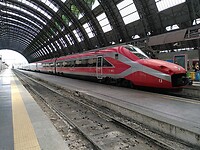 1000035135
