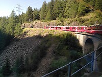 1000035331