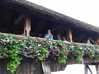 IMG-20240801-WA0028