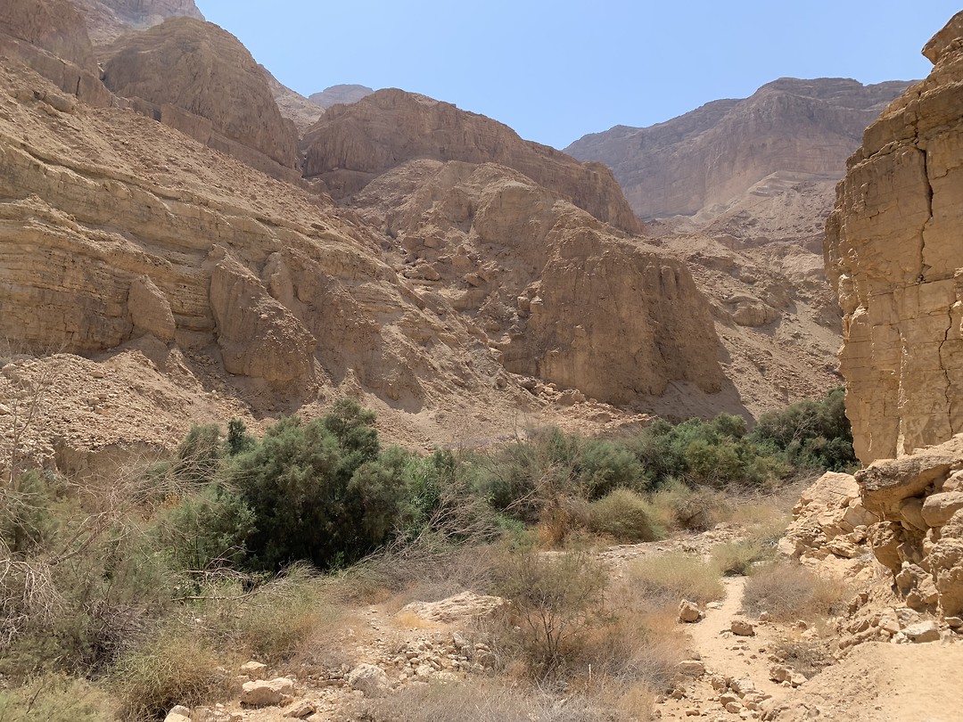 Wadi Arugot