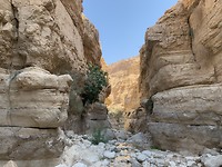 Wadi Arugot