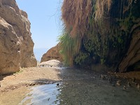 Dudim-grot in Wadi David