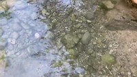 Op de slippers door het water van Wadi Arugot