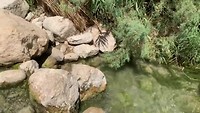 Wadi Arugot