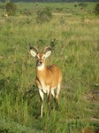 DSC01180
