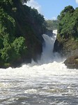 Murchison falls