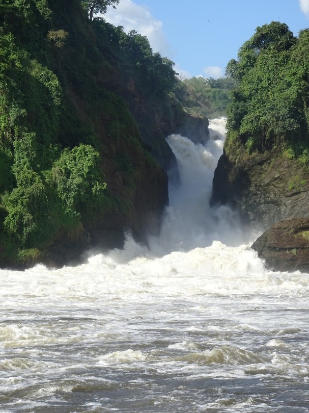 Murchison falls