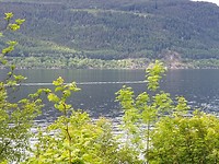 Nessie duikt onder