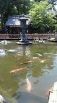 IMG-20170529-WA0046