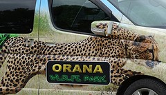 Orana