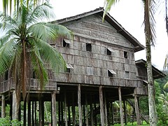 longhouse damai