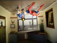 Madame T Spiderman L