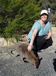 Wallaby Lidwina