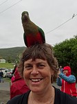 Vogel lidwina