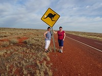 Kangaroo bord