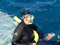 Reef 4