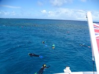 Reef 1