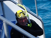 Reef 3