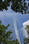 DSC06464