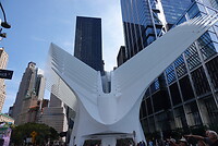 DSC06476