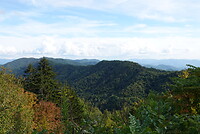 DSC06934