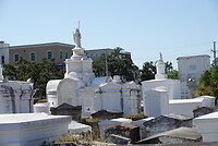 DSC07874