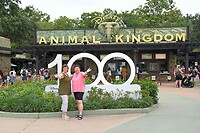 1200743187_MEDIUM (1)