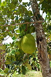 DSC01126