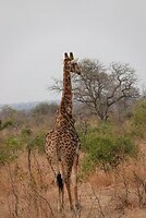 DSC05019