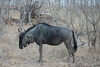 DSC05066