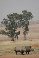 DSC04999