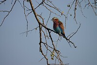 DSC05270