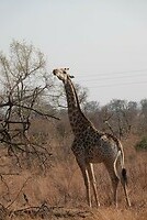 DSC05274