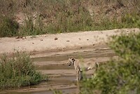 DSC05353