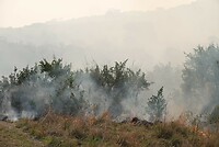 DSC05562