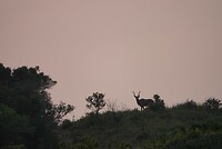DSC05796