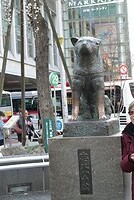 DSC07796