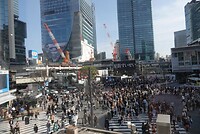 DSC07786