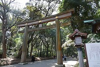 DSC07750