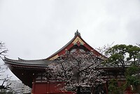 DSC07906