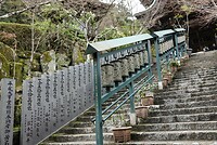 DSC08561