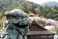 DSC08440