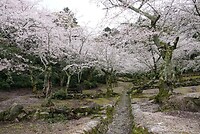 DSC08468