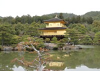 1000013225