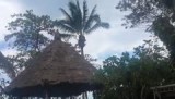 20161202_115406