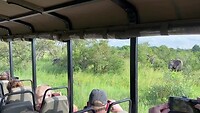 IMG_3683